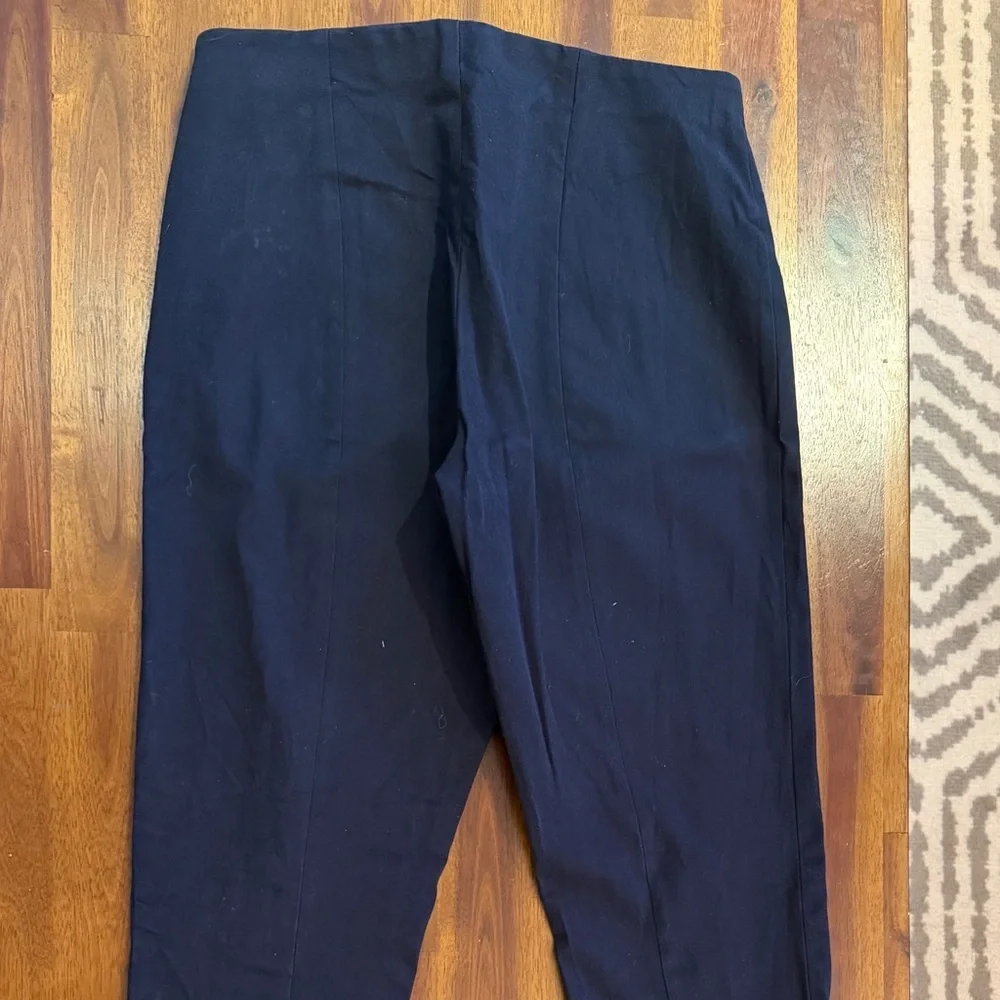 Banana Republic Men's Navy Chinos